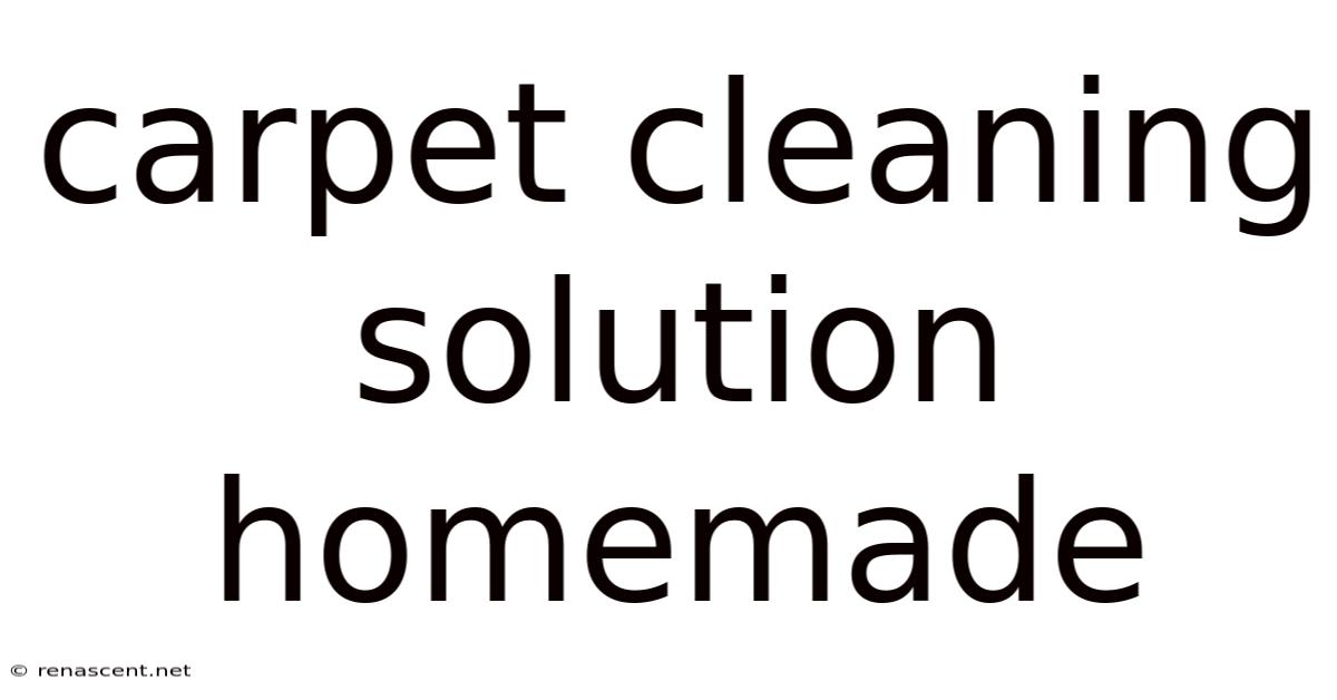 Carpet Cleaning Solution Homemade