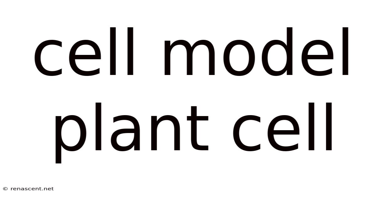 Cell Model Plant Cell