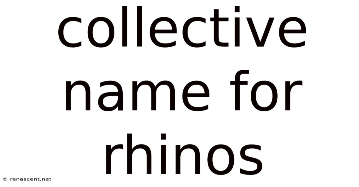 Collective Name For Rhinos