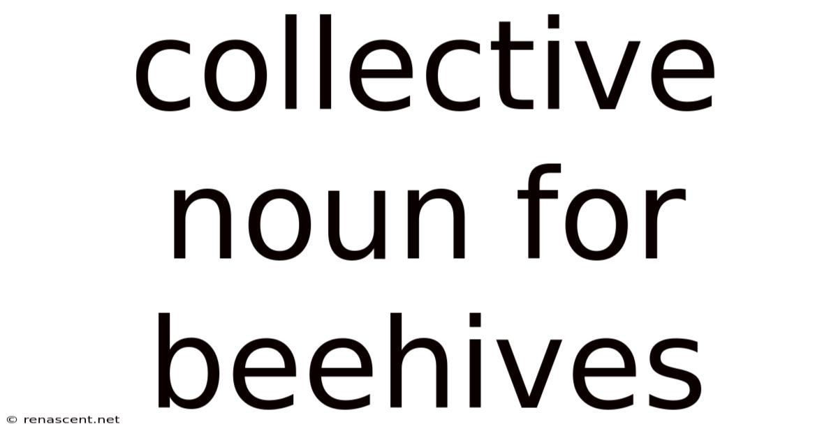 Collective Noun For Beehives