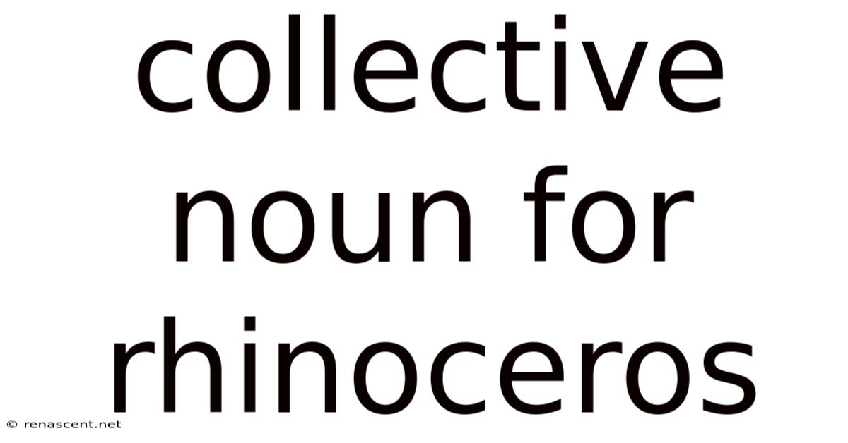 Collective Noun For Rhinoceros