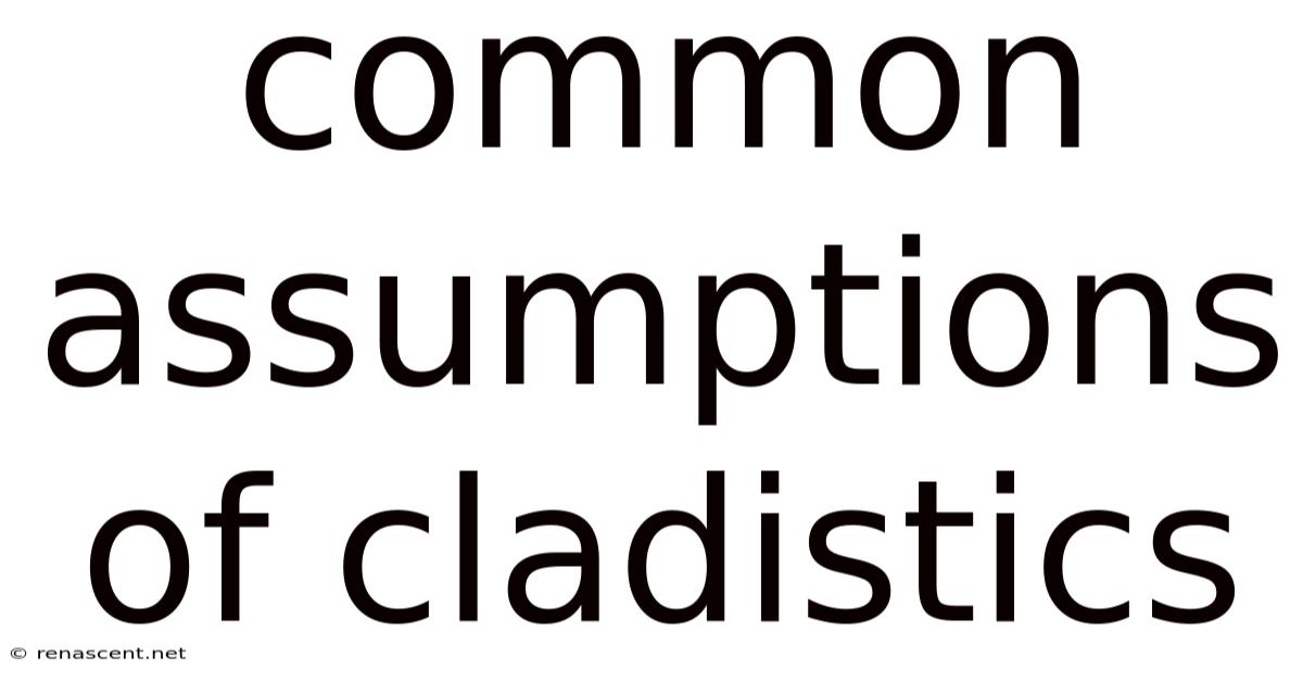 Common Assumptions Of Cladistics