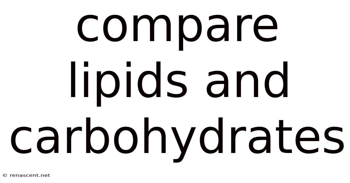 Compare Lipids And Carbohydrates
