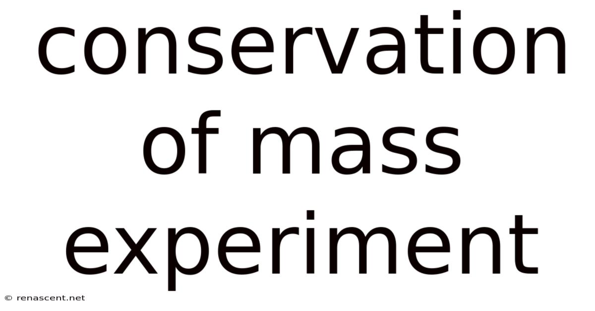 Conservation Of Mass Experiment