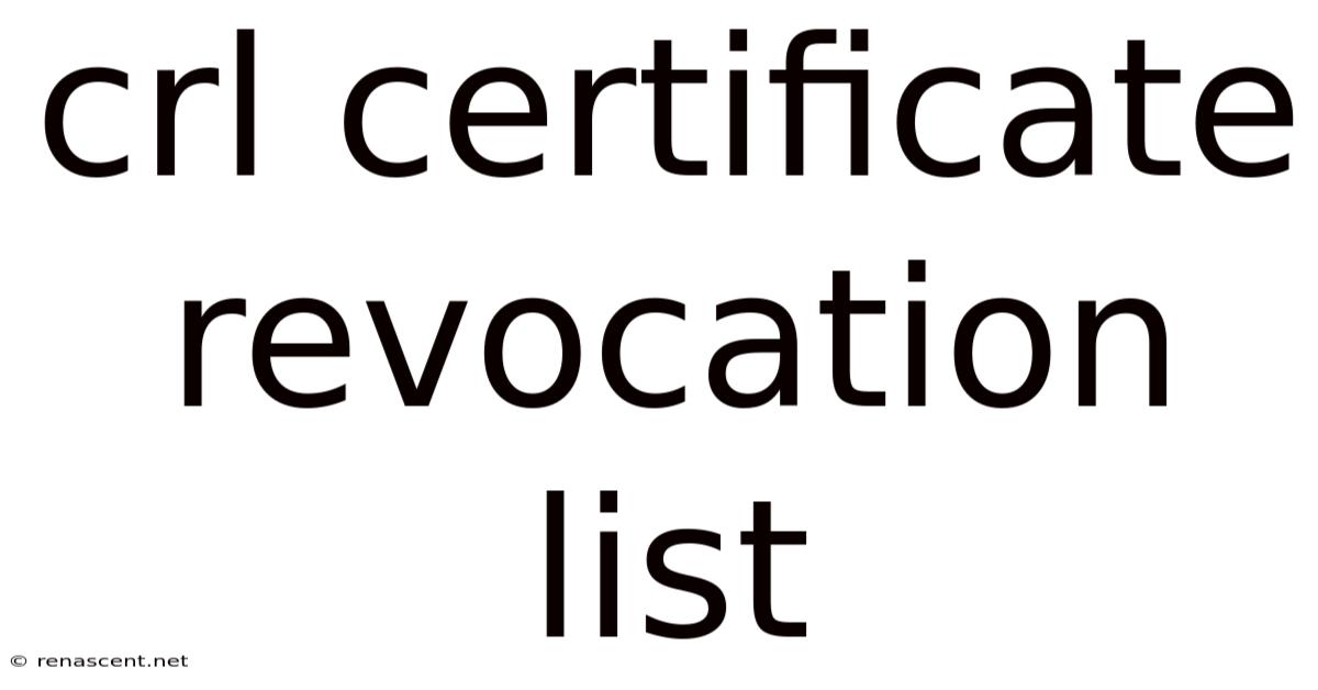 Crl Certificate Revocation List
