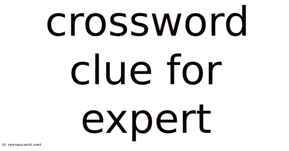 Crossword Clue For Expert