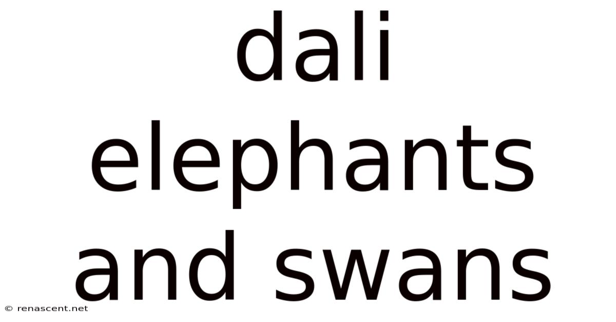 Dali Elephants And Swans