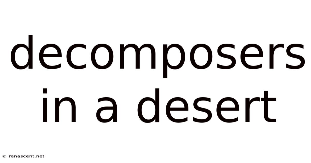 Decomposers In A Desert