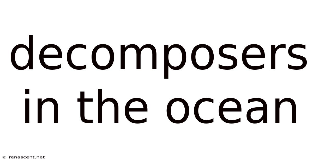 Decomposers In The Ocean