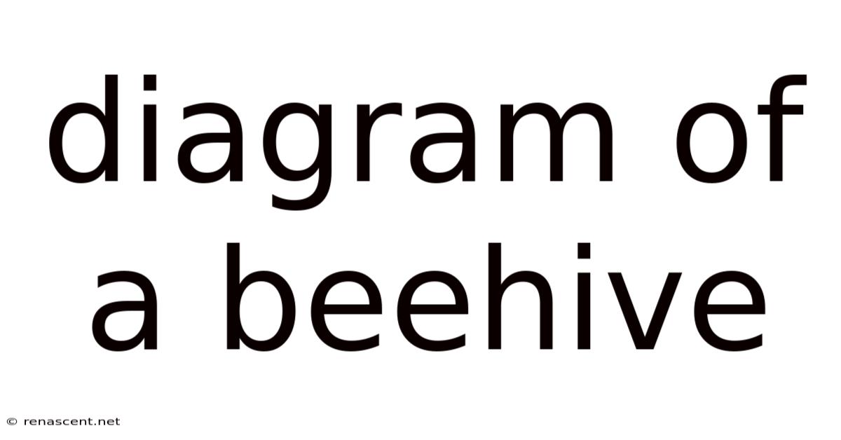 Diagram Of A Beehive