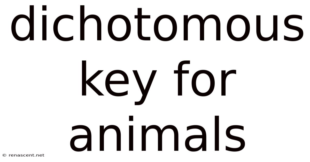 Dichotomous Key For Animals