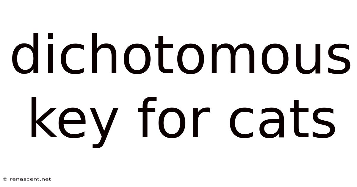 Dichotomous Key For Cats