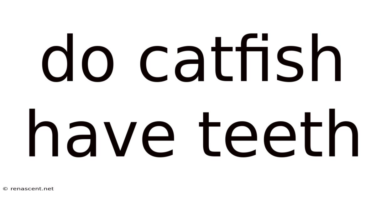 Do Catfish Have Teeth