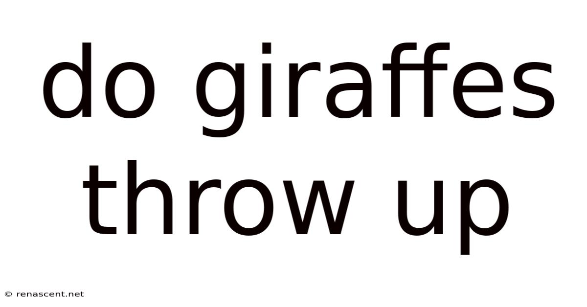 Do Giraffes Throw Up
