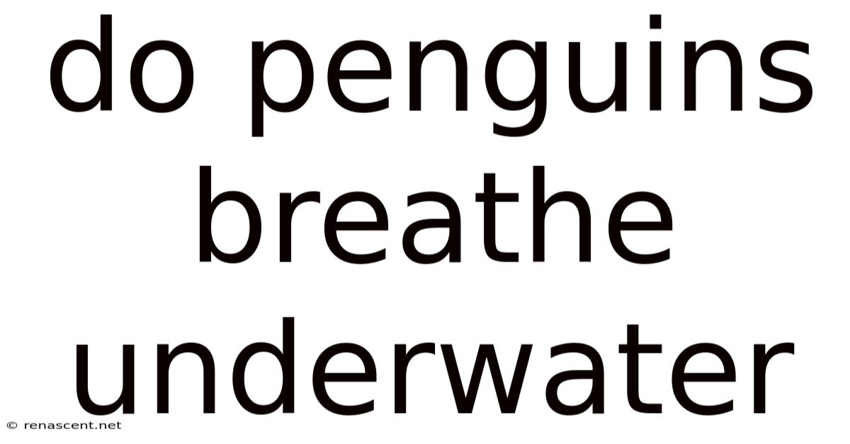 Do Penguins Breathe Underwater