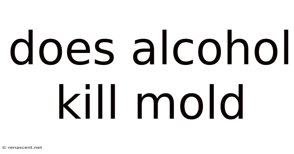 Does Alcohol Kill Mold