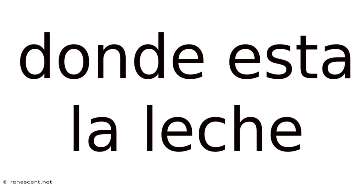 Donde Esta La Leche