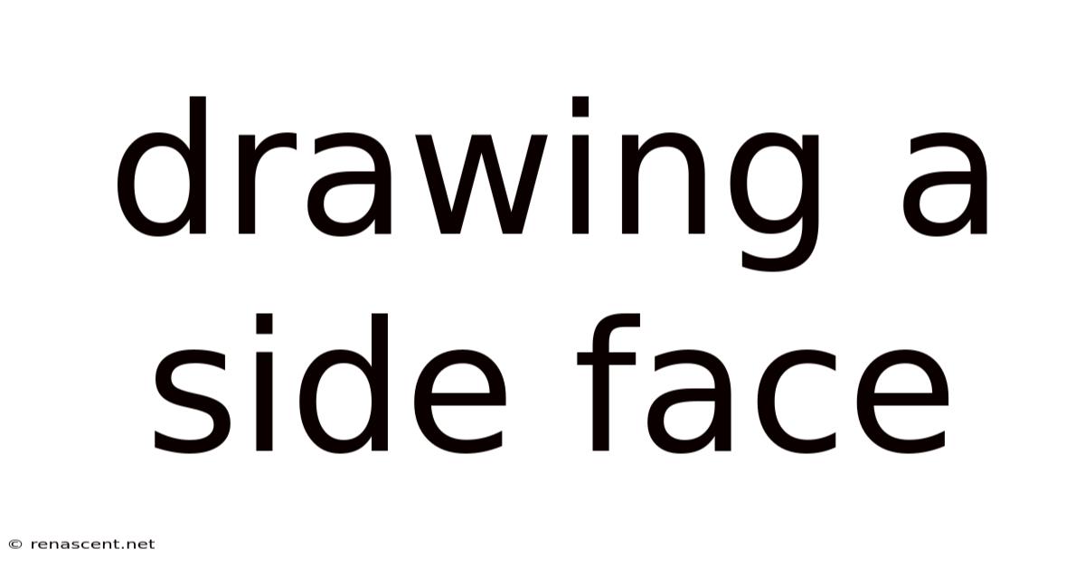 Drawing A Side Face