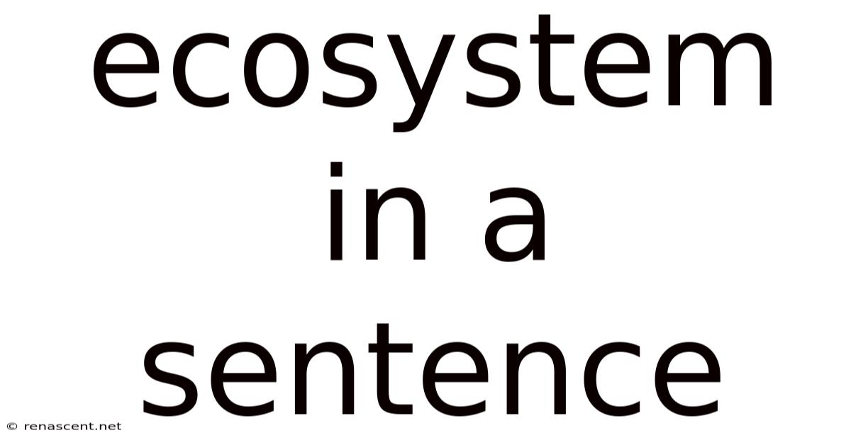 Ecosystem In A Sentence