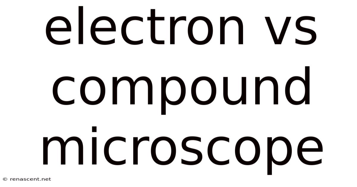 Electron Vs Compound Microscope