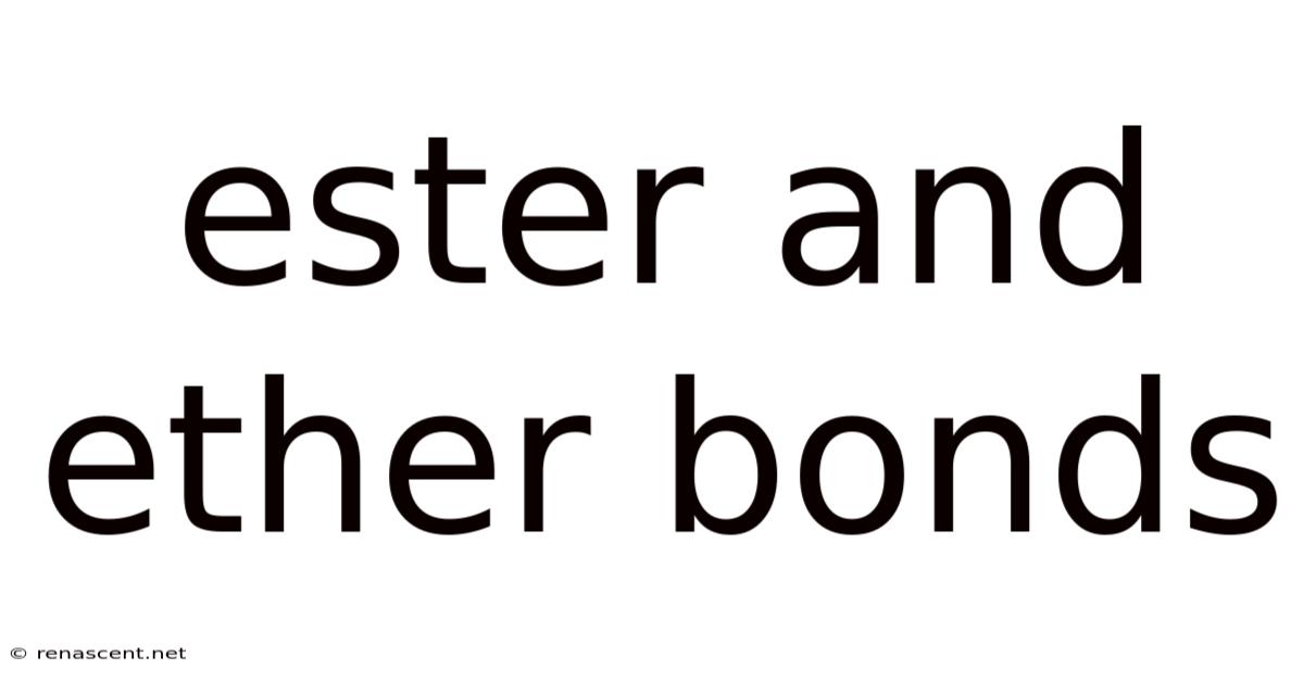 Ester And Ether Bonds