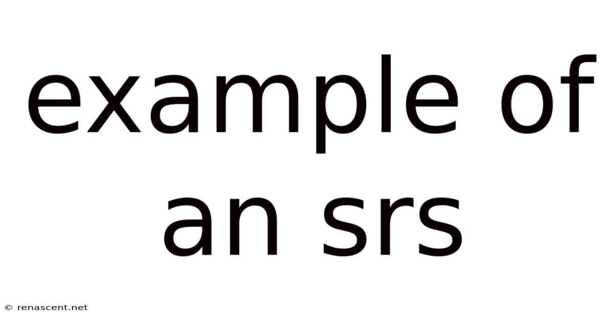 Example Of An Srs