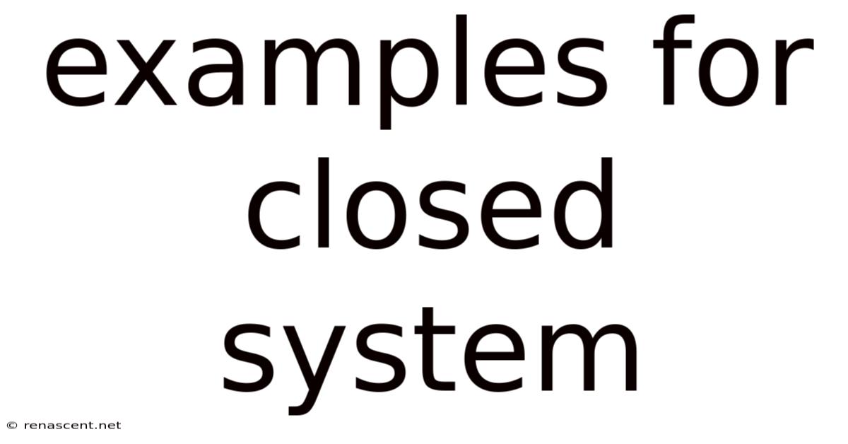 Examples For Closed System