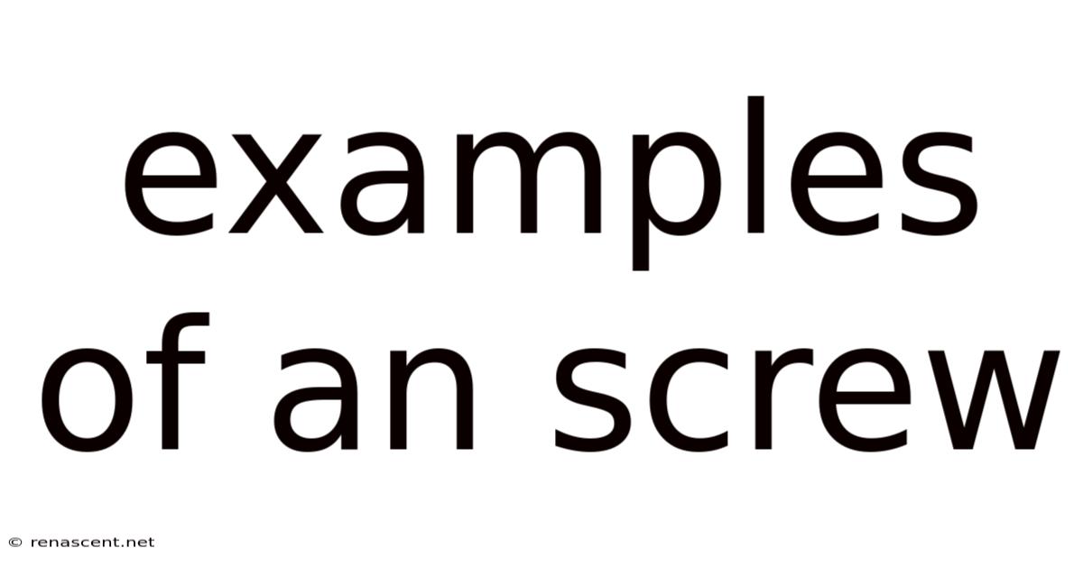 Examples Of An Screw