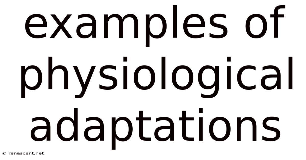 Examples Of Physiological Adaptations