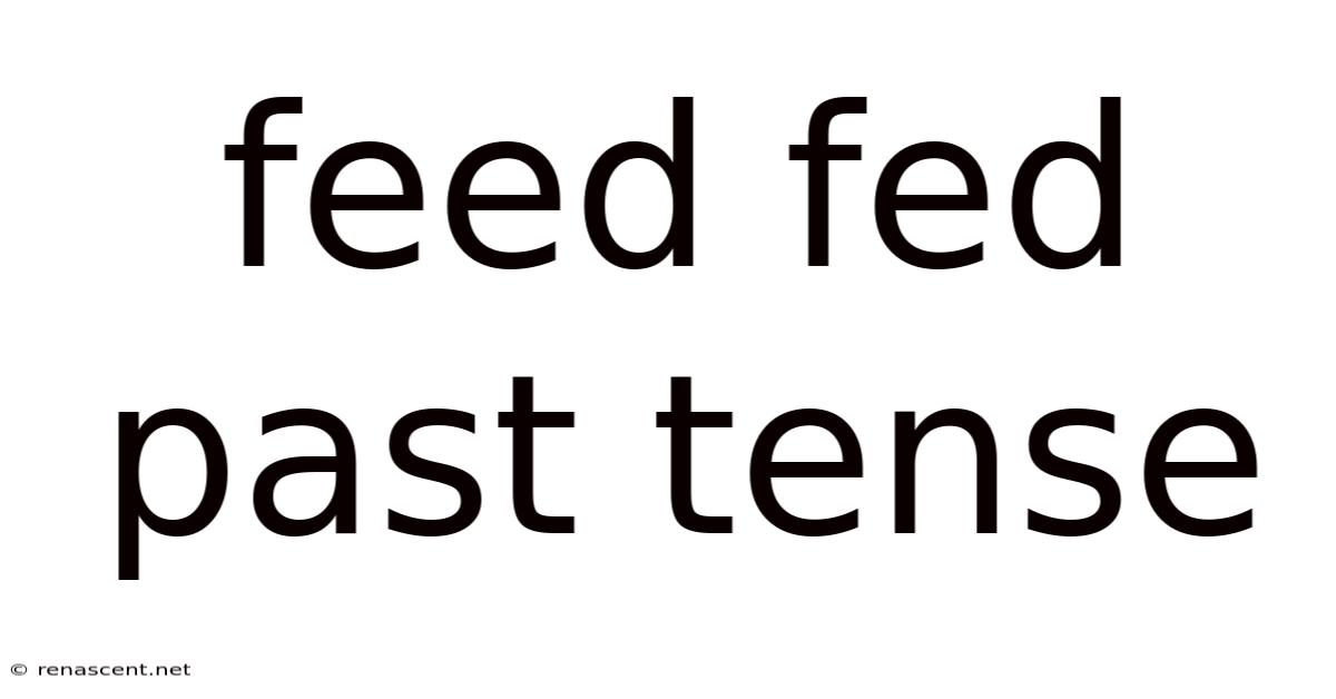 Feed Fed Past Tense