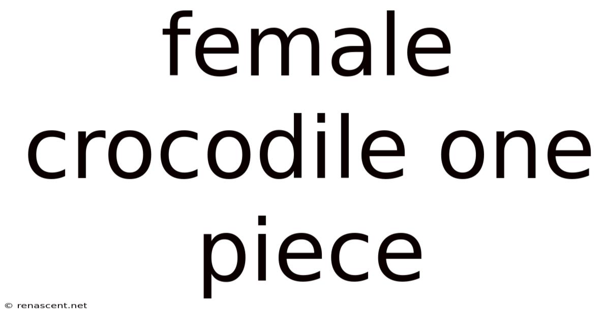 Female Crocodile One Piece