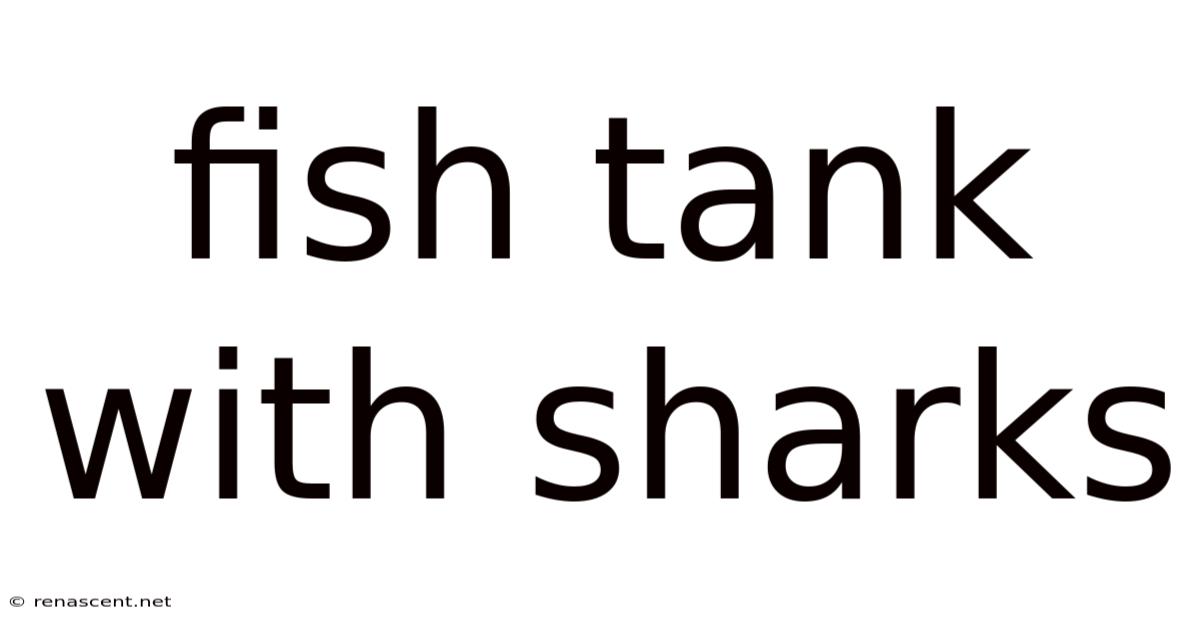 Fish Tank With Sharks