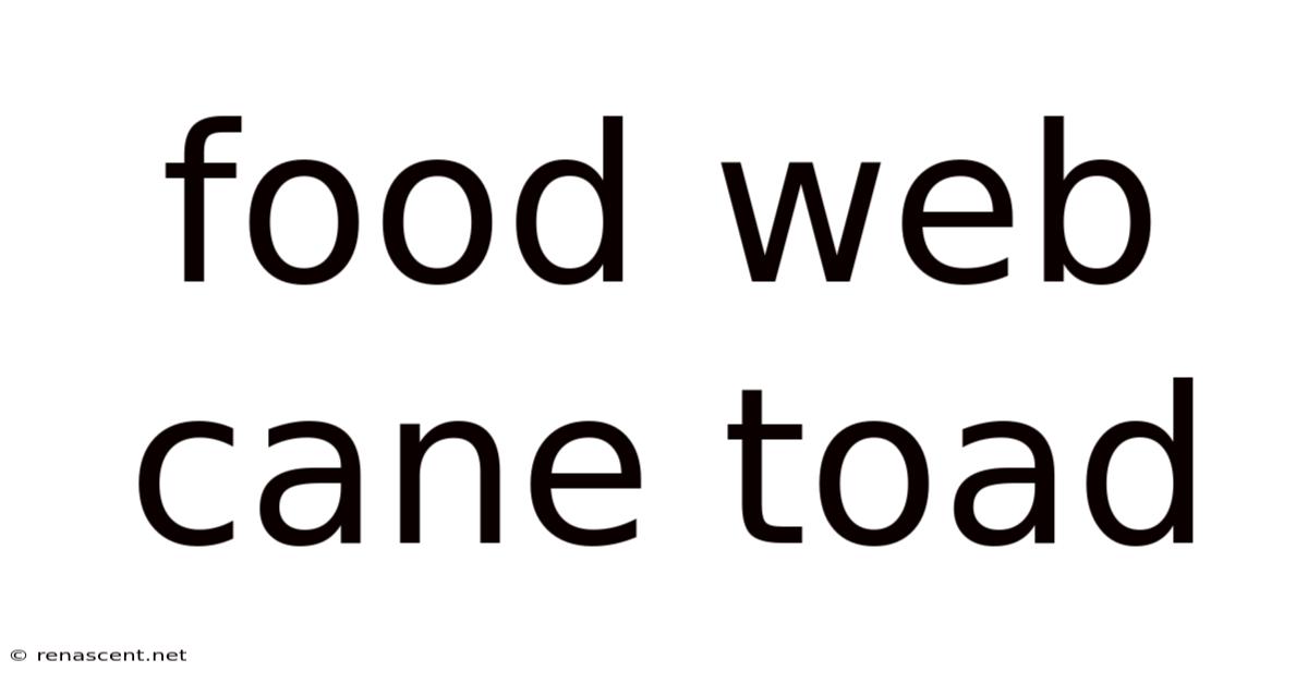 Food Web Cane Toad