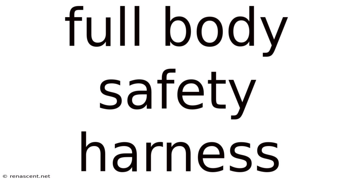 Full Body Safety Harness