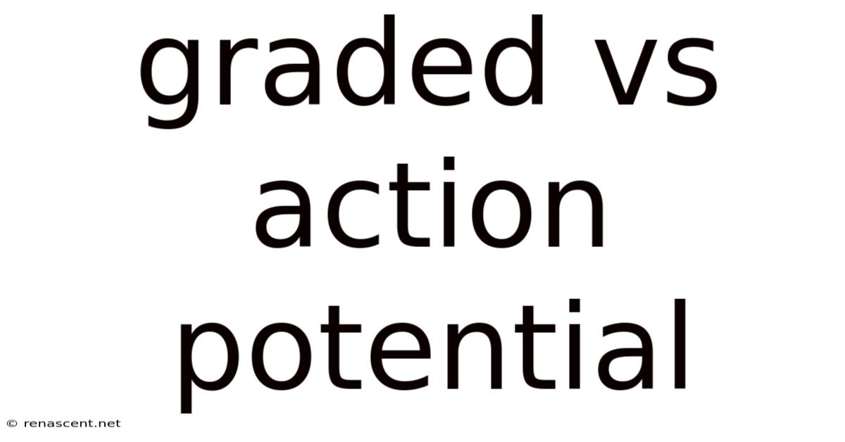 Graded Vs Action Potential