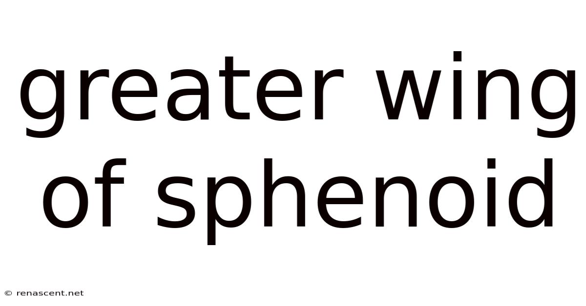 Greater Wing Of Sphenoid