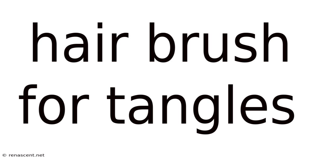 Hair Brush For Tangles