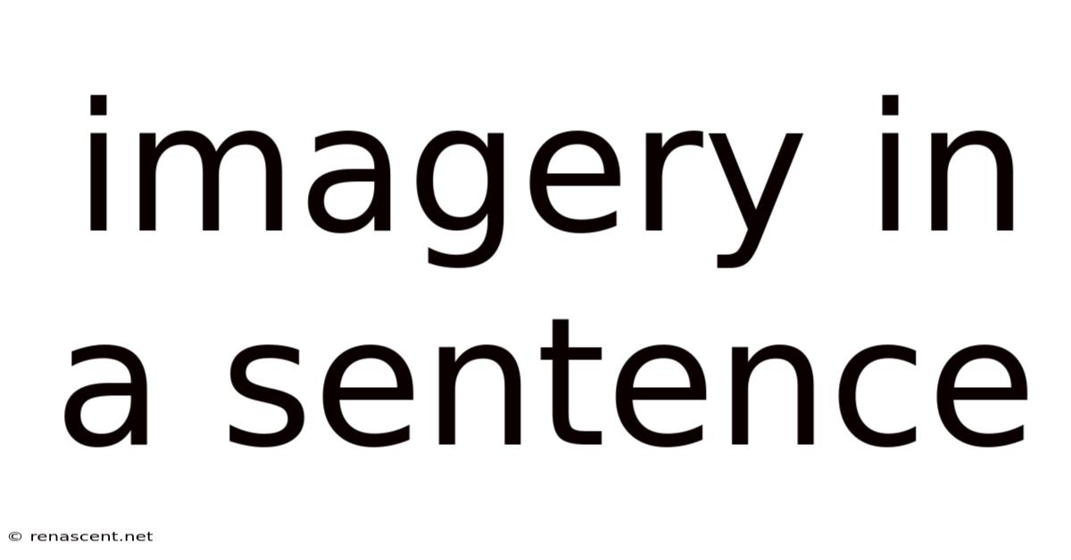 Imagery In A Sentence