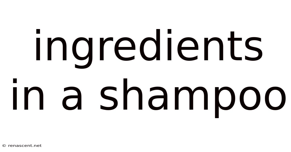 Ingredients In A Shampoo
