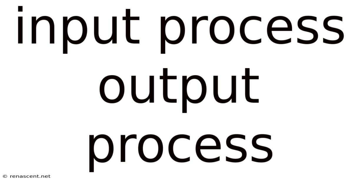 Input Process Output Process
