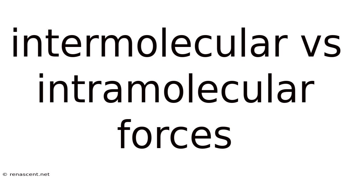 Intermolecular Vs Intramolecular Forces