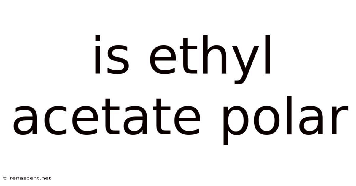 Is Ethyl Acetate Polar