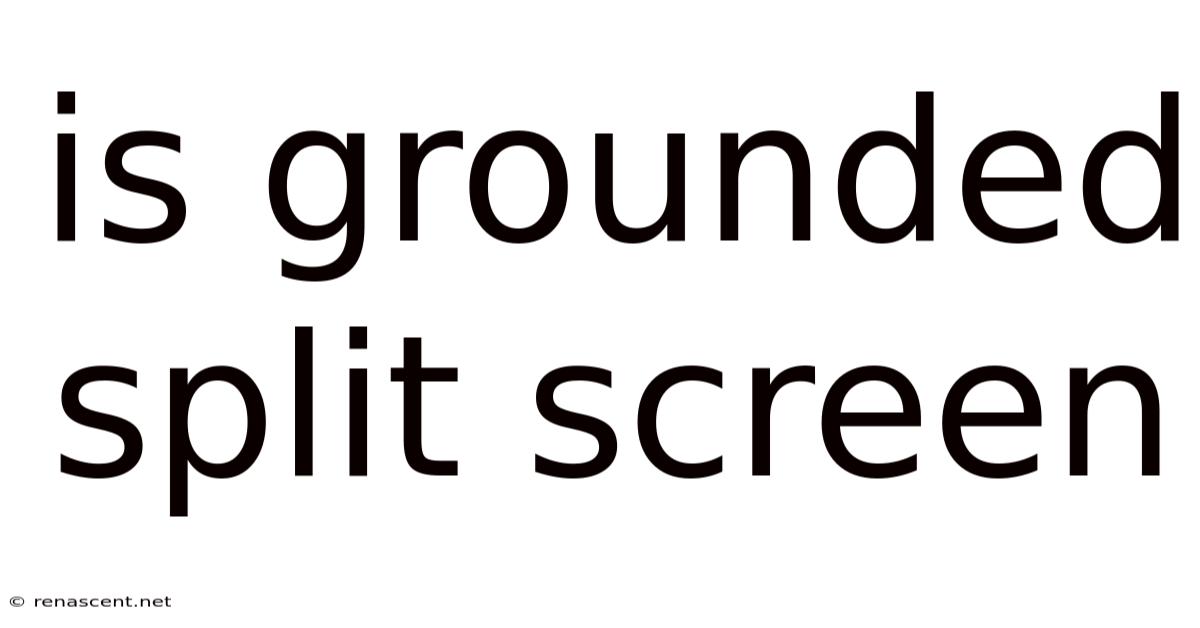 Is Grounded Split Screen