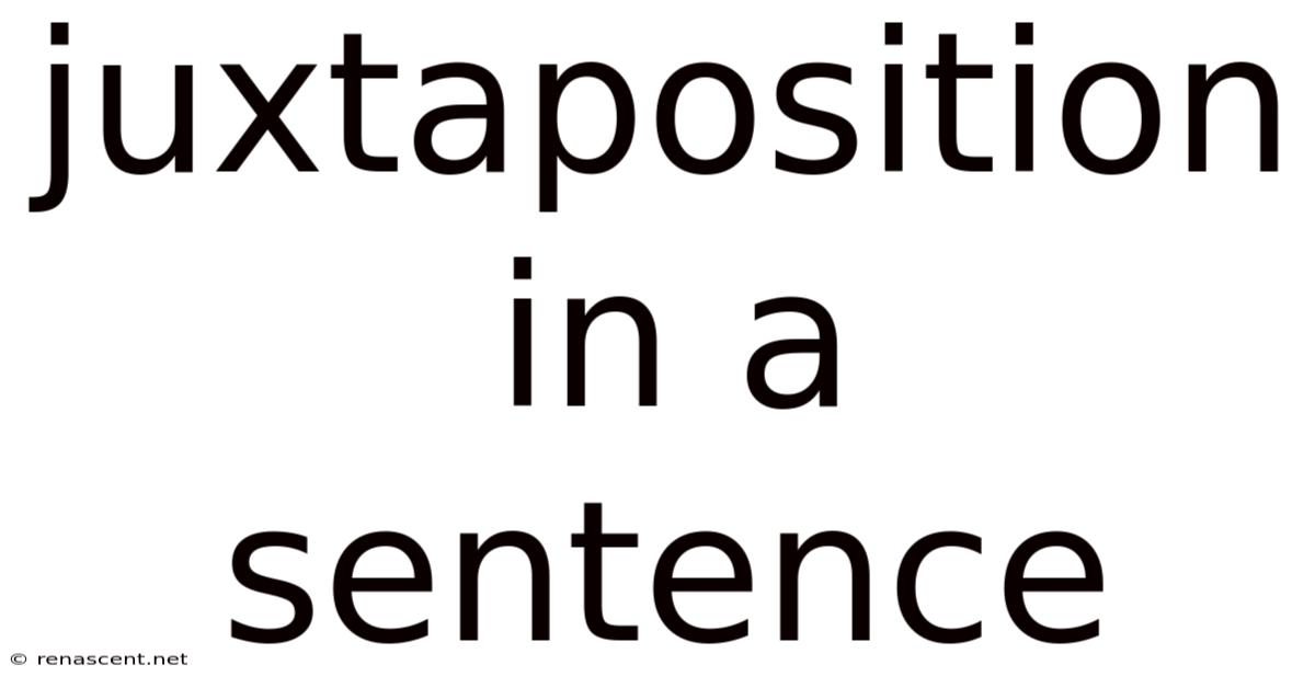 Juxtaposition In A Sentence