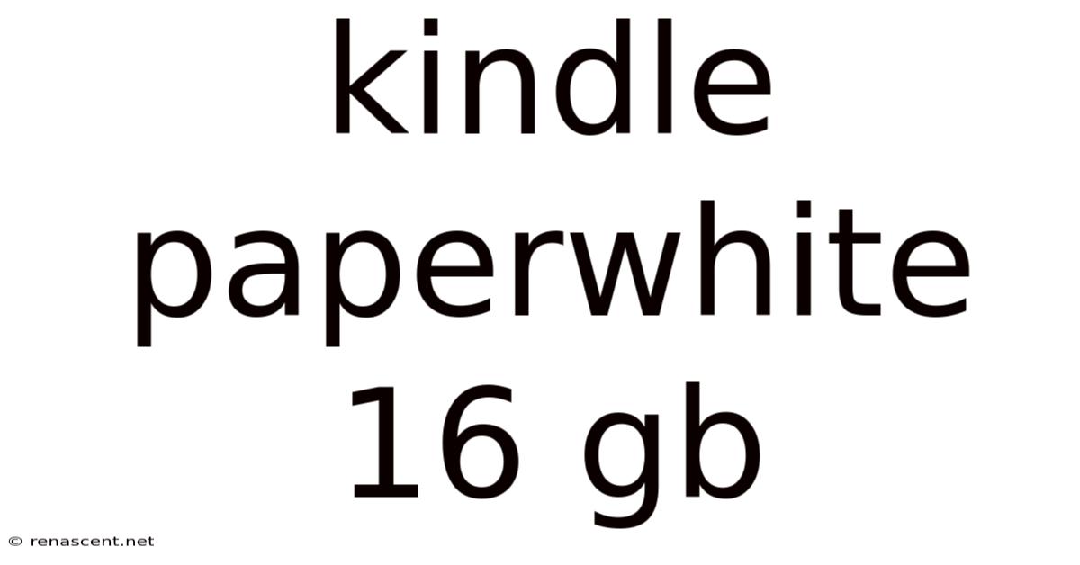 Kindle Paperwhite 16 Gb