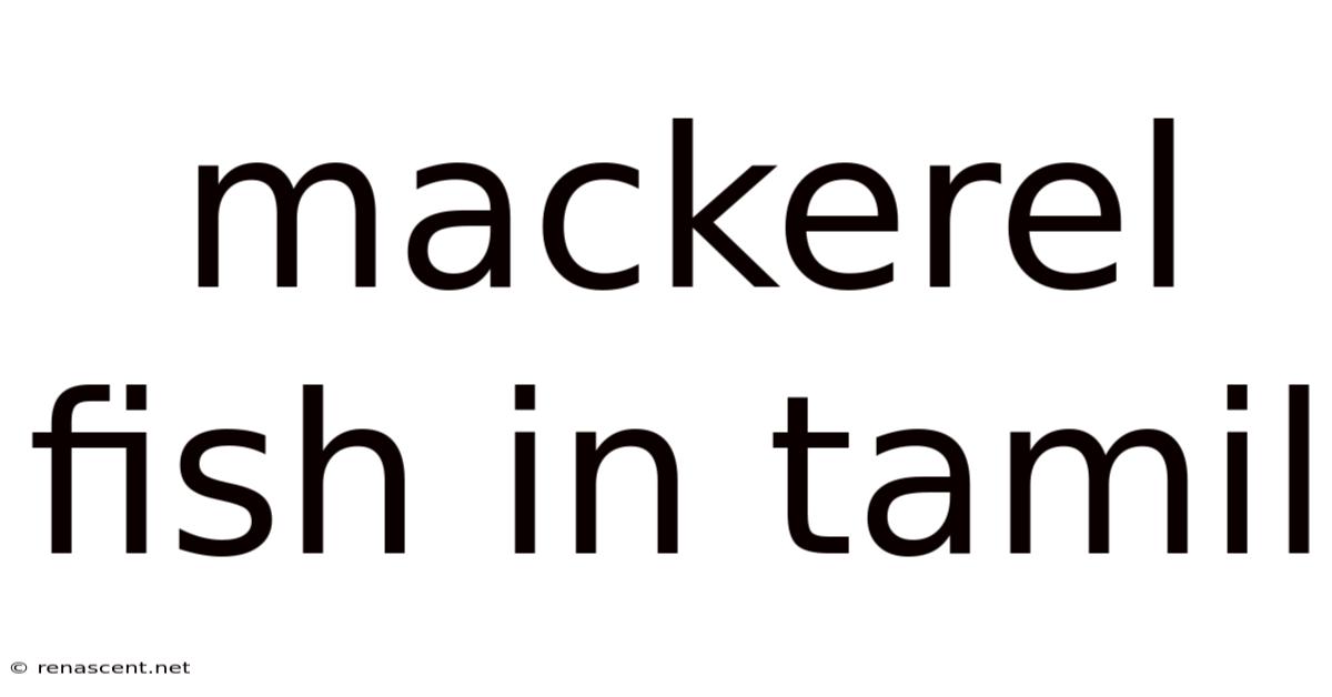 Mackerel Fish In Tamil