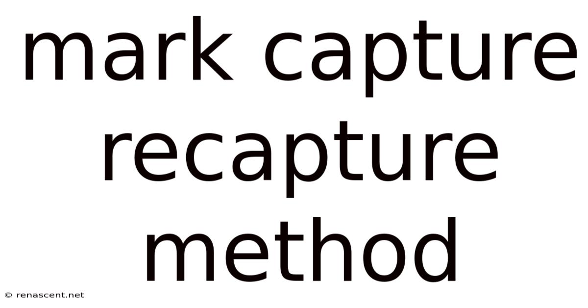 Mark Capture Recapture Method