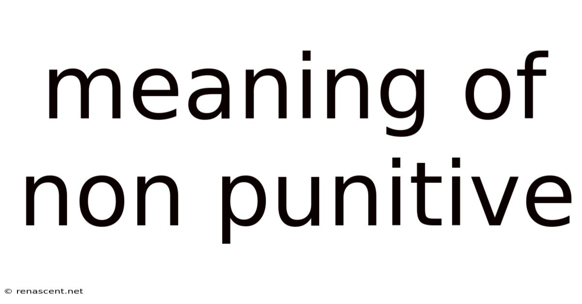 Meaning Of Non Punitive