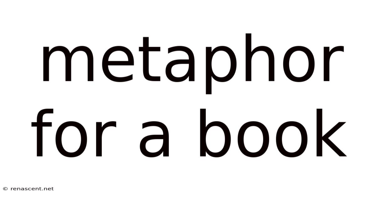 Metaphor For A Book