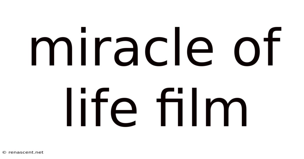 Miracle Of Life Film